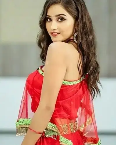 Call Girls Service Katpadi